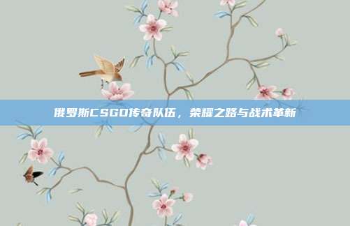 俄罗斯CSGO传奇队伍,荣耀之路与战术革新