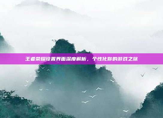 王者荣耀设置界面深度解析,个性化你的游戏之旅