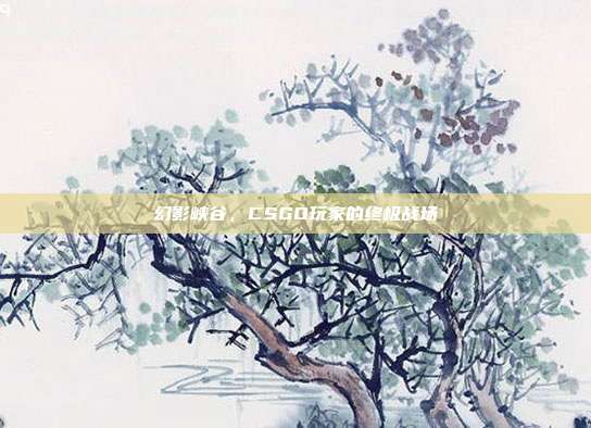 幻影峡谷,CSGO玩家的终极战场