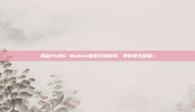 揭秘PUBG Mobile国服开启时间,带你抢先体验!