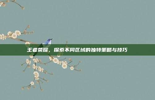 王者荣耀,探索不同区域的独特策略与技巧
