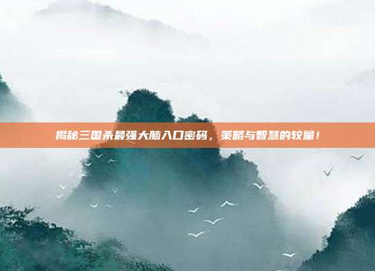 揭秘三国杀最强大脑入口密码,策略与智慧的较量!