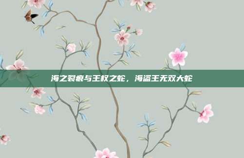海之裂痕与王权之蛇，海盗王无双大蛇