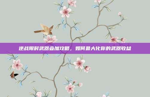 逆战限时武器叠加攻略,如何最大化你的武器收益