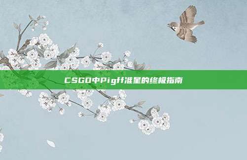 CSGO中Pigff准星的终极指南