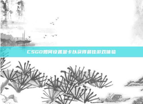 CSGO如何设置显卡以获得最佳游戏体验
