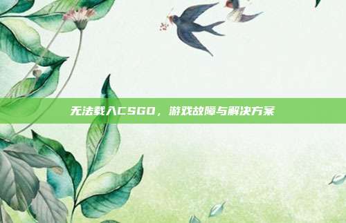 无法载入CSGO，游戏故障与解决方案