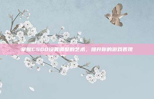 掌握CSGO设置调整的艺术,提升你的游戏表现