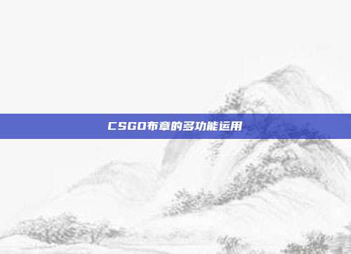 CSGO布章的多功能运用