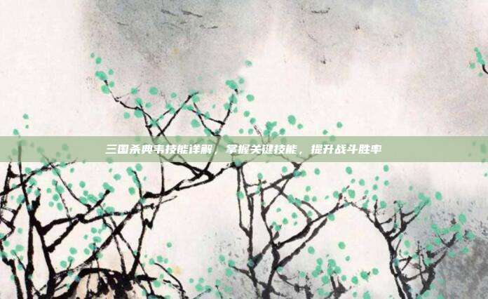三国杀典韦技能详解,掌握关键技能,提升战斗胜率