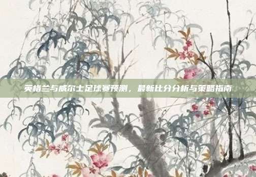 英格兰与威尔士足球赛预测，最新比分分析与策略指南