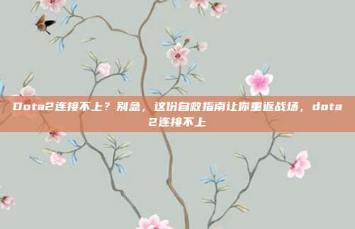 Dota2连接不上？别急，这份自救指南让你重返战场，dota2连接不上