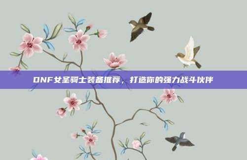 DNF女圣骑士装备推荐，打造你的强力战斗伙伴