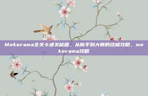 Mekorama全关卡通关秘籍，从新手到大师的终极攻略，mekorama攻略