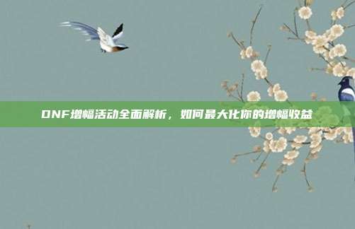 DNF增幅活动全面解析,如何最大化你的增幅收益