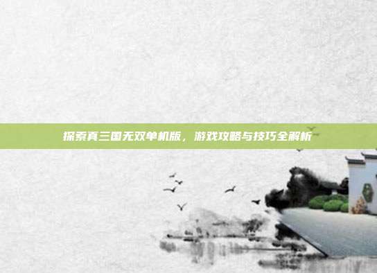 探索真三国无双单机版，游戏攻略与技巧全解析