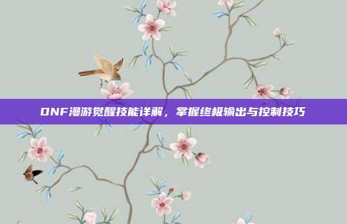 DNF漫游觉醒技能详解，掌握终极输出与控制技巧