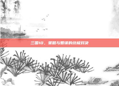 三国10,策略与智谋的终极对决
