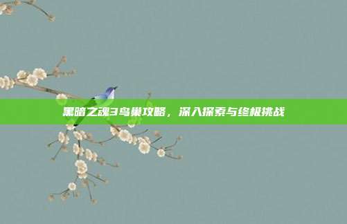 黑暗之魂3鸟巢攻略,深入探索与终极挑战