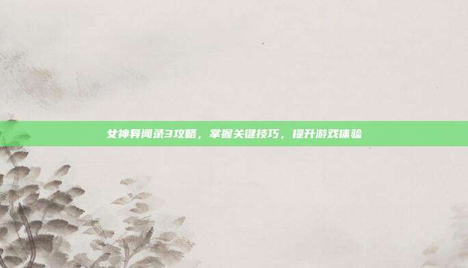 女神异闻录3攻略,掌握关键技巧,提升游戏体验