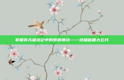 掌握倚天屠龙记中的紫霞神功——终极秘籍大公开