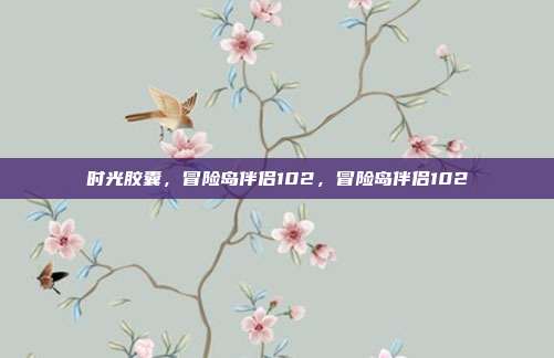 时光胶囊，冒险岛伴侣102，冒险岛伴侣102