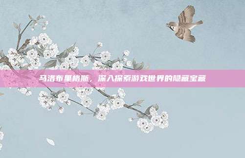马洛布里格斯，深入探索游戏世界的隐藏宝藏