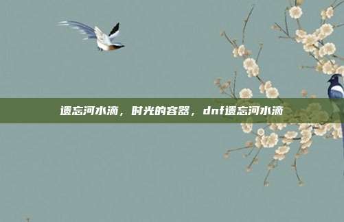 遗忘河水滴，时光的容器，dnf遗忘河水滴