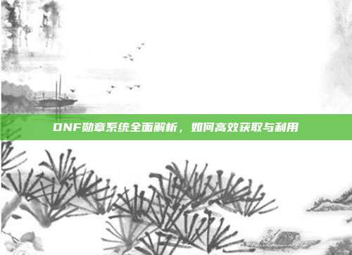 DNF勋章系统全面解析，如何高效获取与利用