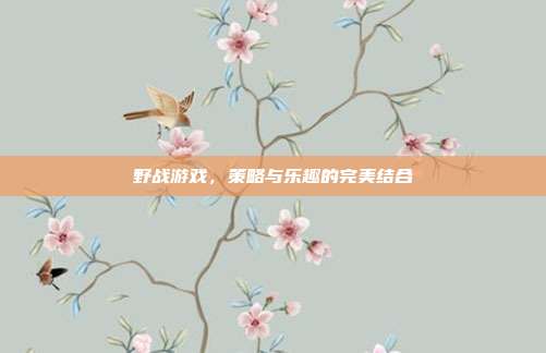 野战游戏，策略与乐趣的完美结合