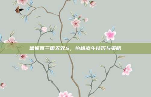 掌握真三国无双5,终极战斗技巧与策略