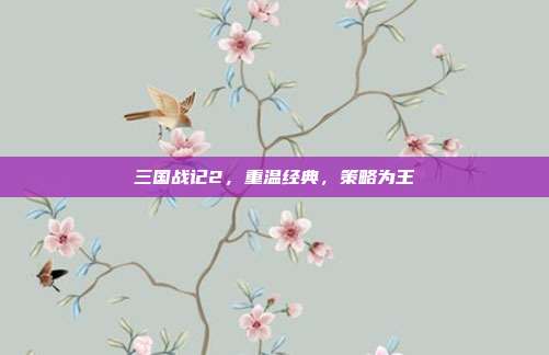 三国战记2，重温经典，策略为王