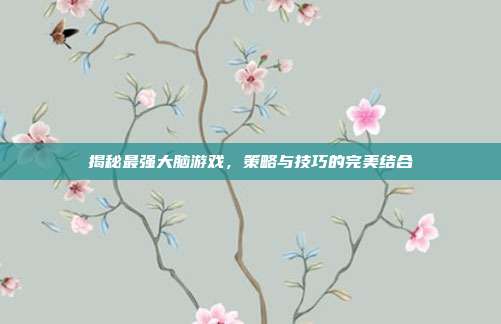 揭秘最强大脑游戏，策略与技巧的完美结合