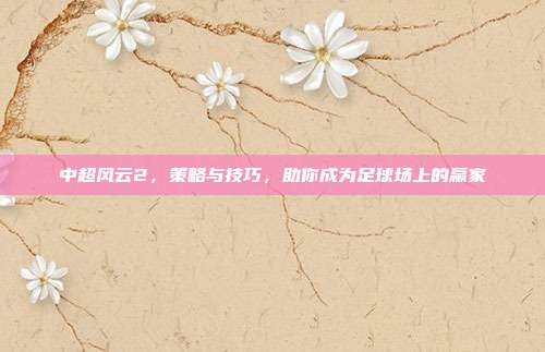 中超风云2，策略与技巧，助你成为足球场上的赢家