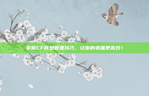 掌握CF背包管理技巧，让你的装备更高效！
