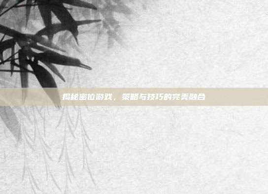 揭秘密位游戏，策略与技巧的完美融合