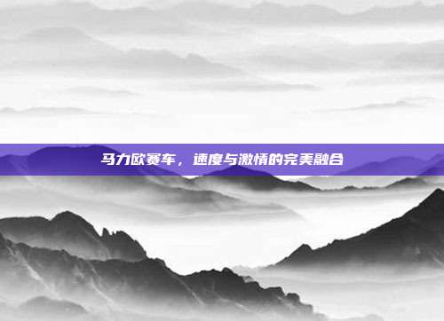 马力欧赛车,速度与激情的完美融合