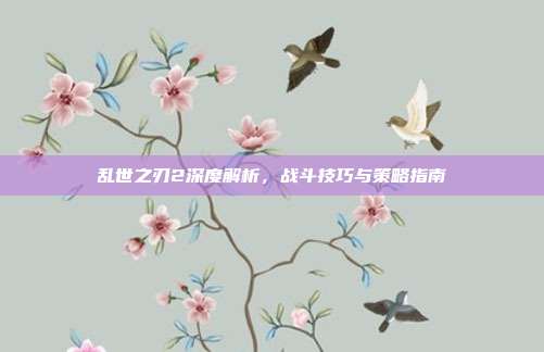 乱世之刃2深度解析,战斗技巧与策略指南