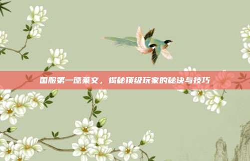国服第一德莱文,揭秘顶级玩家的秘诀与技巧