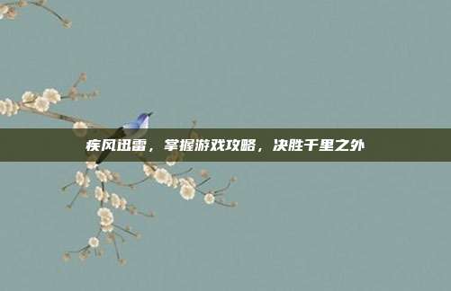 疾风迅雷，掌握游戏攻略，决胜千里之外