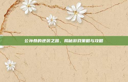 公孙恭的逆袭之路，揭秘游戏策略与攻略