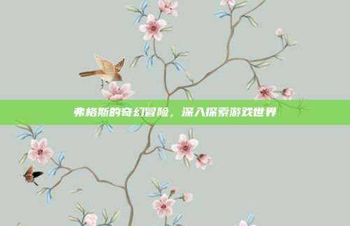 弗格斯的奇幻冒险，深入探索游戏世界