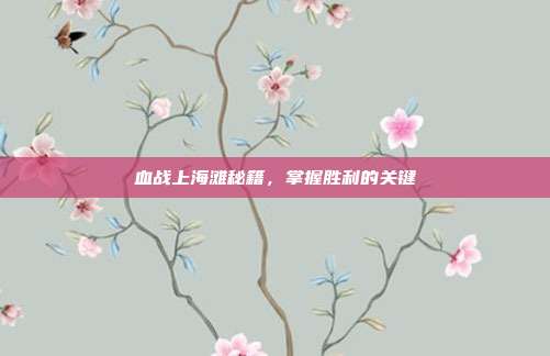 血战上海滩秘籍,掌握胜利的关键
