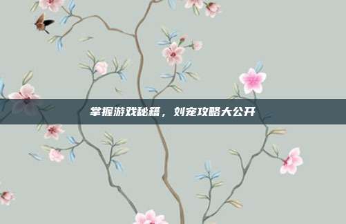 掌握游戏秘籍，刘宠攻略大公开