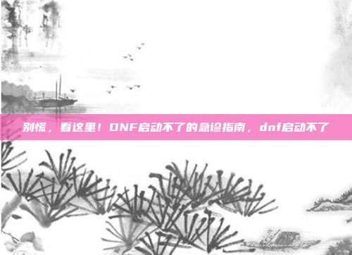 别慌，看这里！DNF启动不了的急诊指南，dnf启动不了