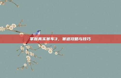 掌握真实赛车3,赛道攻略与技巧