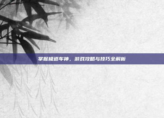 掌握极道车神,游戏攻略与技巧全解析