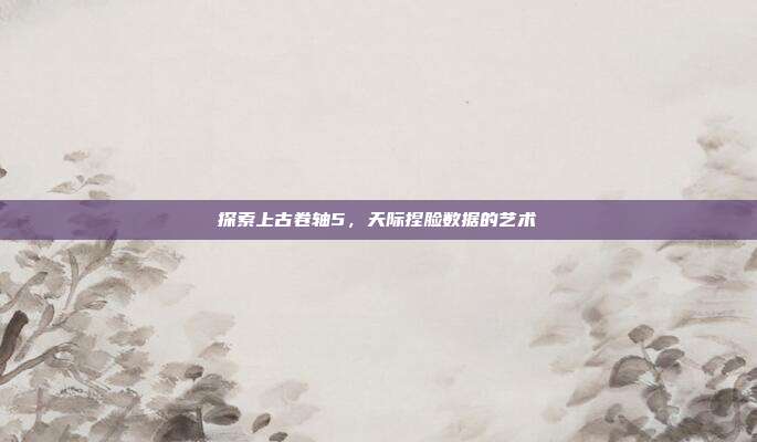 探索上古卷轴5，天际捏脸数据的艺术
