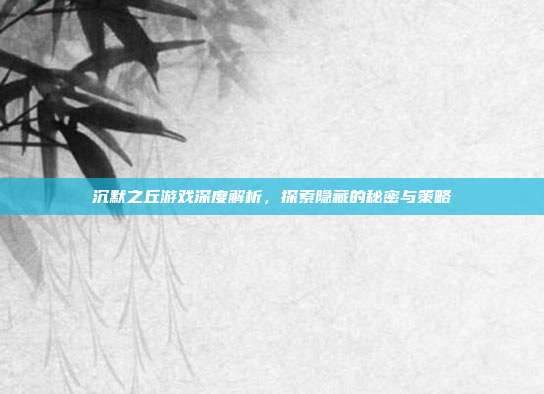 沉默之丘游戏深度解析,探索隐藏的秘密与策略