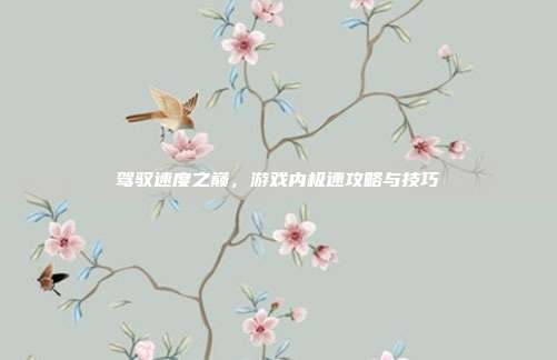 驾驭速度之巅，游戏内极速攻略与技巧